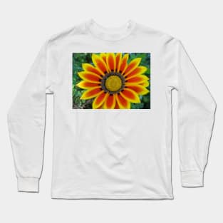 Gazania 2 Photography Long Sleeve T-Shirt